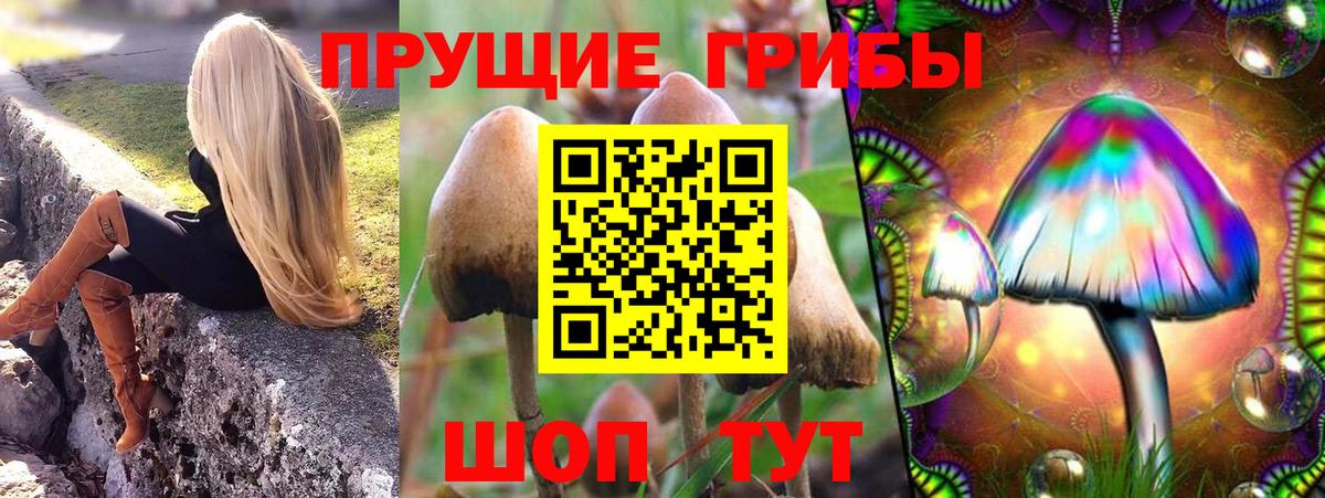 Галлюциногенные грибы GOLDEN TEACHER  Галлюциногенные грибы Cubensis  Вход с VPN  Спасск-Дальний 