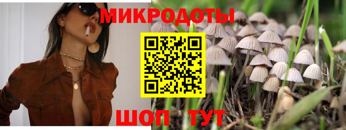 Псилоцибиновые грибы Psilocybine cubensis Спасск-Дальний